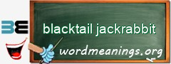 WordMeaning blackboard for blacktail jackrabbit
